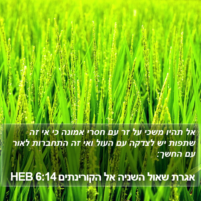 אגרת שאול השניה אל הקורינתים 6:14 HEB Bible Study