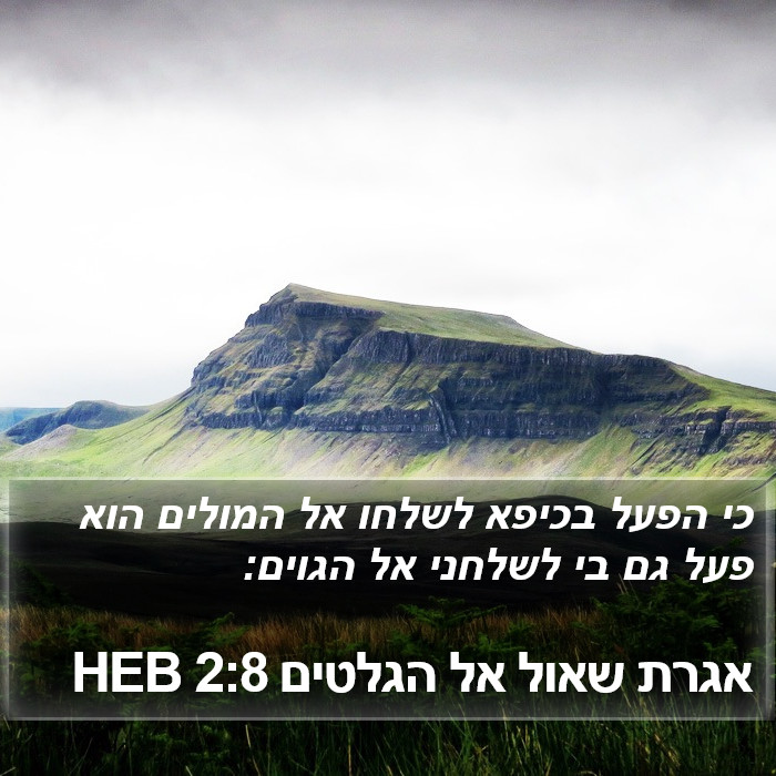 אגרת שאול אל הגלטים 2:8 HEB Bible Study