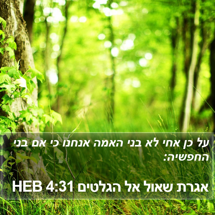 אגרת שאול אל הגלטים 4:31 HEB Bible Study