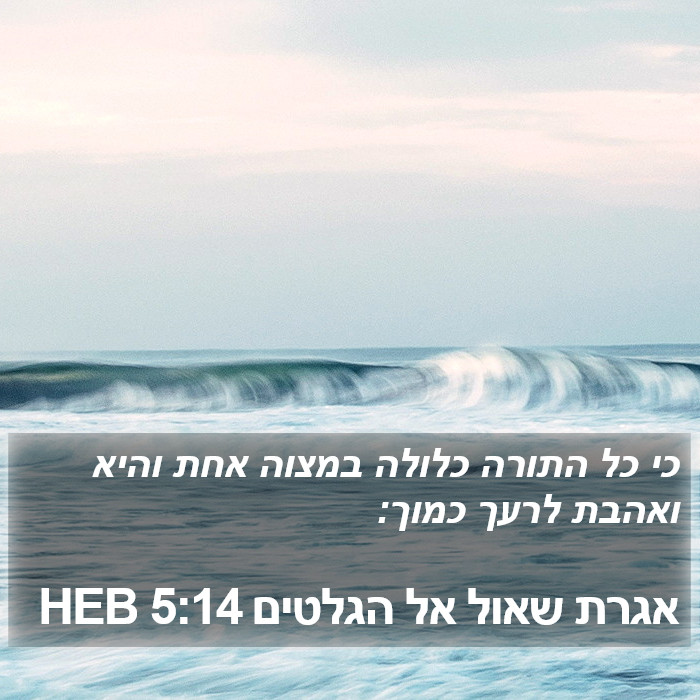 אגרת שאול אל הגלטים 5:14 HEB Bible Study