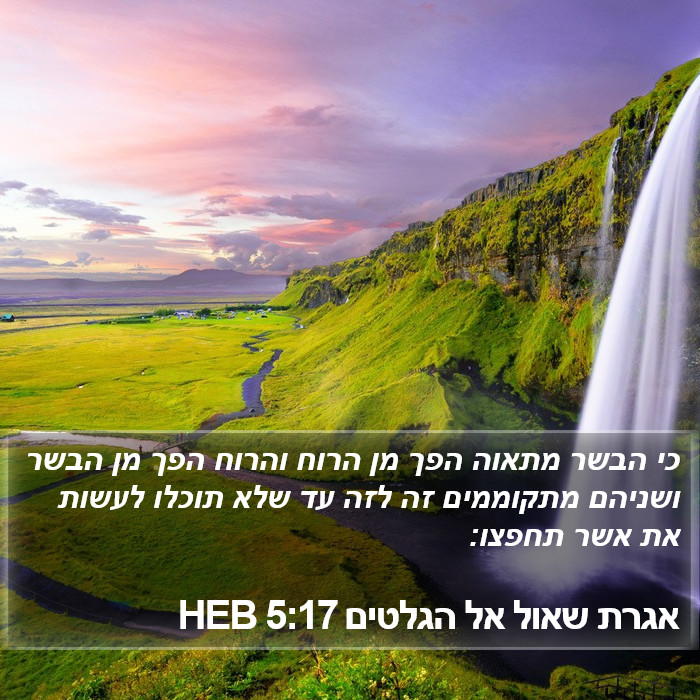 אגרת שאול אל הגלטים 5:17 HEB Bible Study