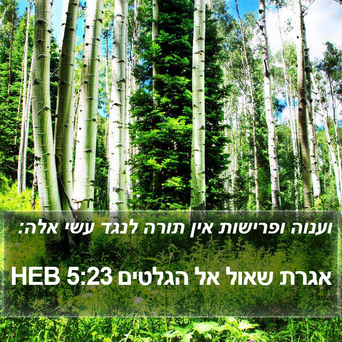 אגרת שאול אל הגלטים 5:23 HEB Bible Study