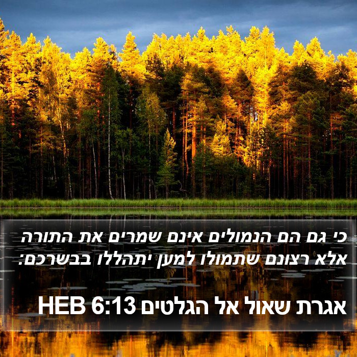 אגרת שאול אל הגלטים 6:13 HEB Bible Study