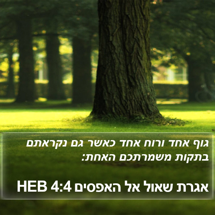 אגרת שאול אל האפסים 4:4 HEB Bible Study