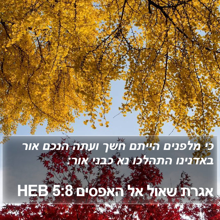 אגרת שאול אל האפסים 5:8 HEB Bible Study