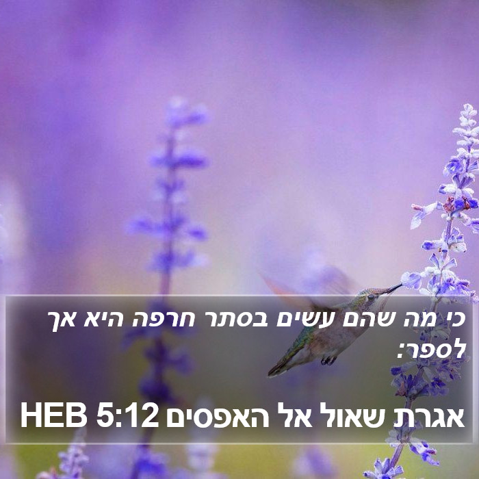 אגרת שאול אל האפסים 5:12 HEB Bible Study