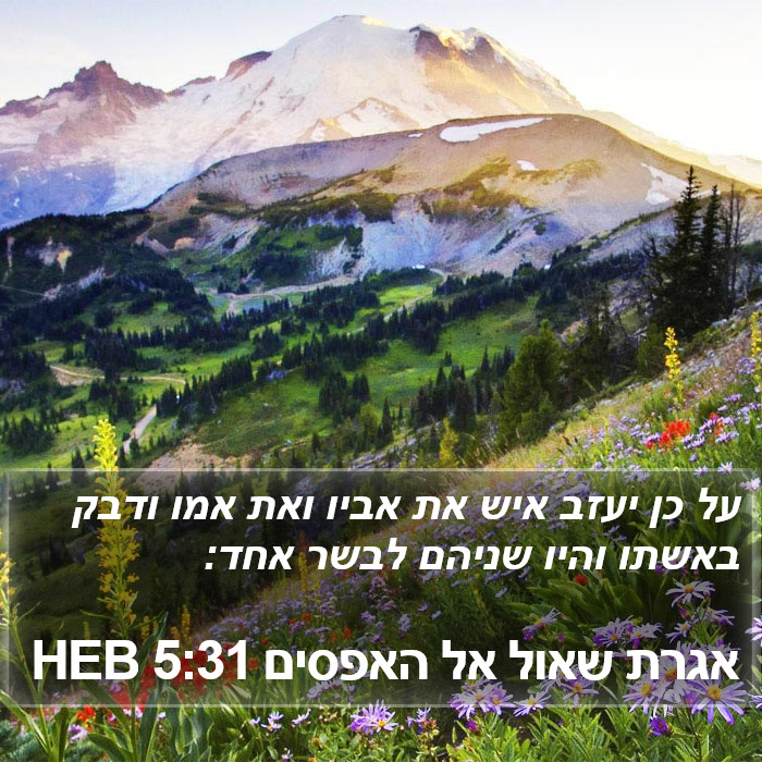 אגרת שאול אל האפסים 5:31 HEB Bible Study