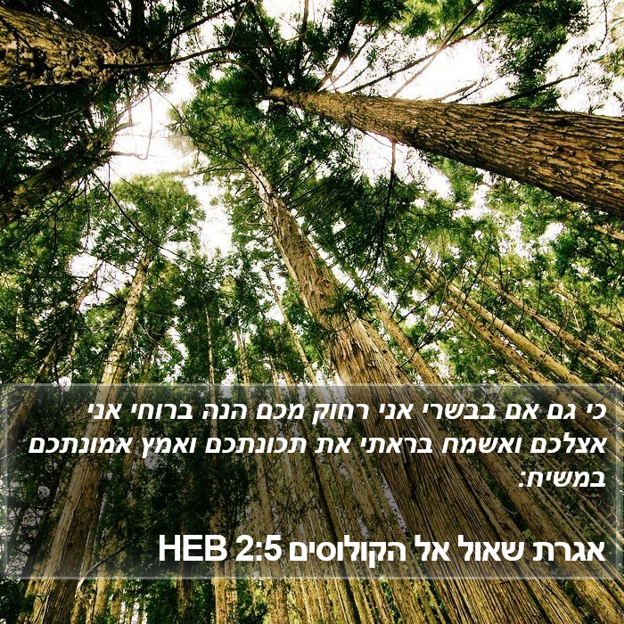 אגרת שאול אל הקולוסים 2:5 HEB Bible Study