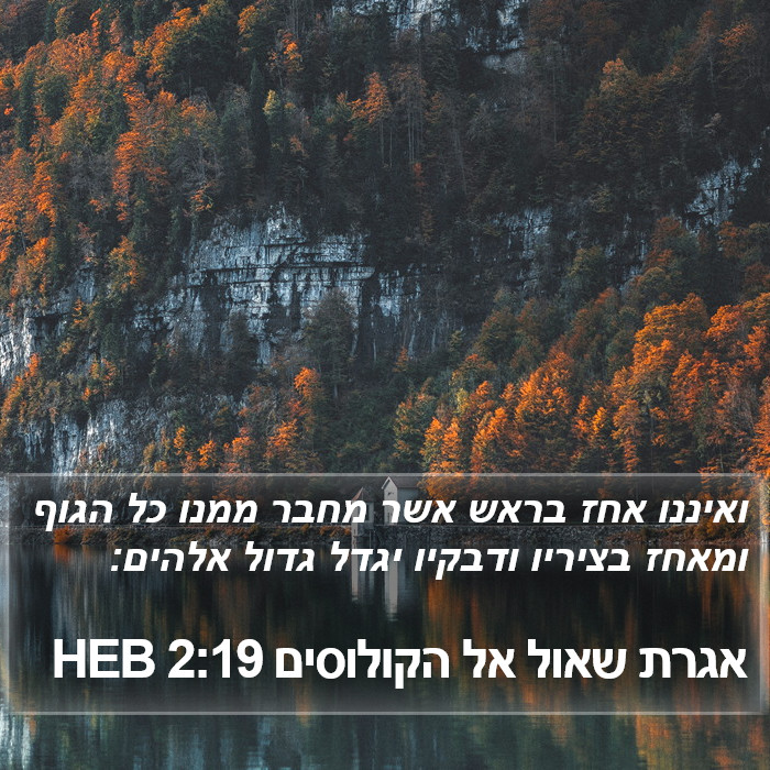 אגרת שאול אל הקולוסים 2:19 HEB Bible Study