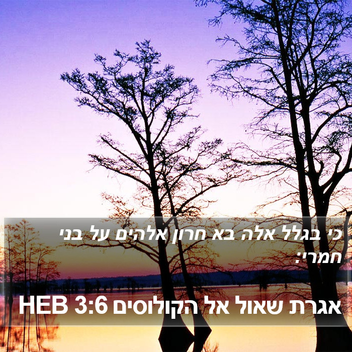 אגרת שאול אל הקולוסים 3:6 HEB Bible Study