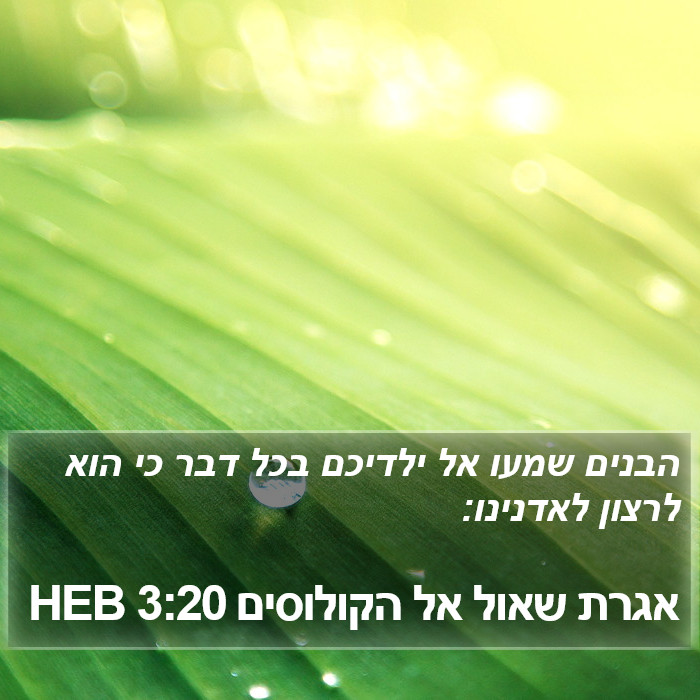 אגרת שאול אל הקולוסים 3:20 HEB Bible Study