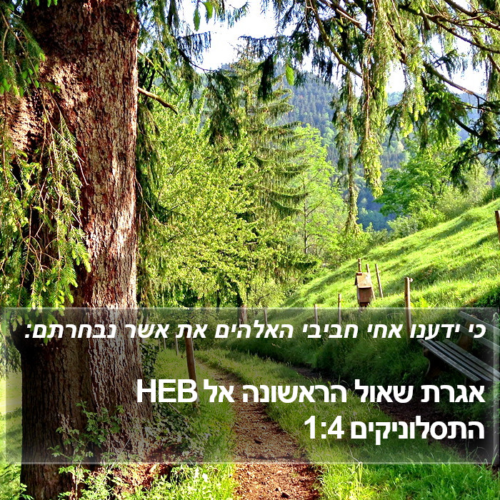 אגרת שאול הראשונה אל התסלוניקים 1:4 HEB Bible Study