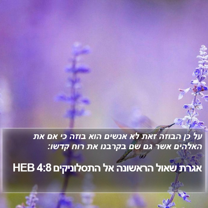 אגרת שאול הראשונה אל התסלוניקים 4:8 HEB Bible Study