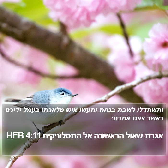 אגרת שאול הראשונה אל התסלוניקים 4:11 HEB Bible Study