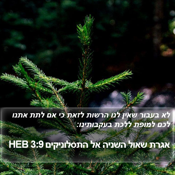 אגרת שאול השניה אל התסלוניקים 3:9 HEB Bible Study