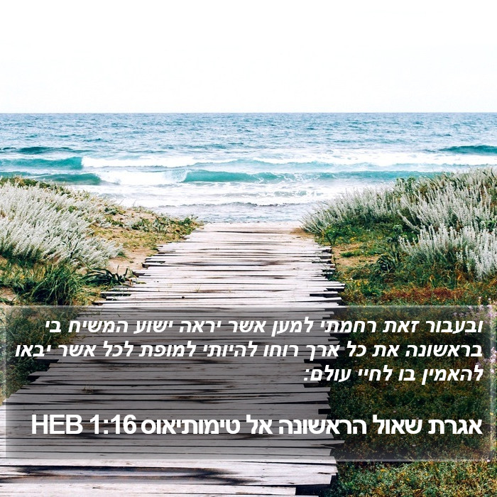 אגרת שאול הראשונה אל טימותיאוס 1:16 HEB Bible Study