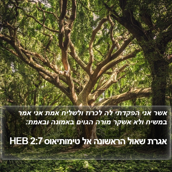 אגרת שאול הראשונה אל טימותיאוס 2:7 HEB Bible Study