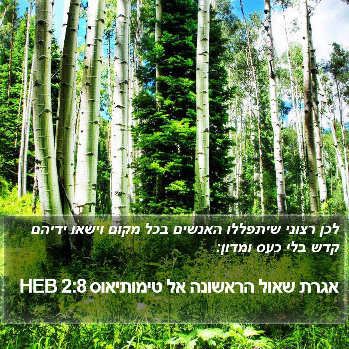 אגרת שאול הראשונה אל טימותיאוס 2:8 HEB Bible Study