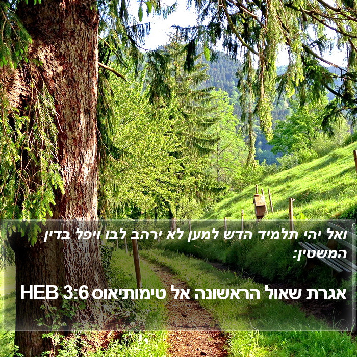 אגרת שאול הראשונה אל טימותיאוס 3:6 HEB Bible Study