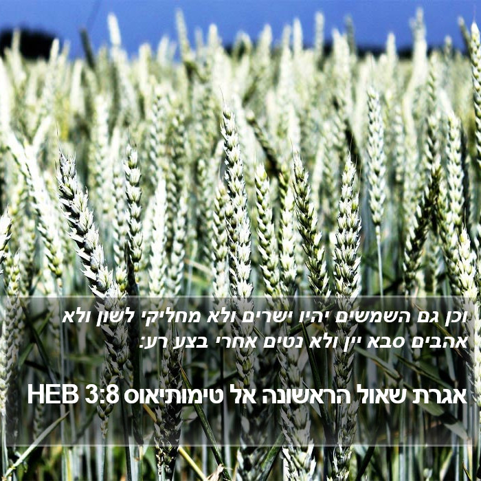 אגרת שאול הראשונה אל טימותיאוס 3:8 HEB Bible Study