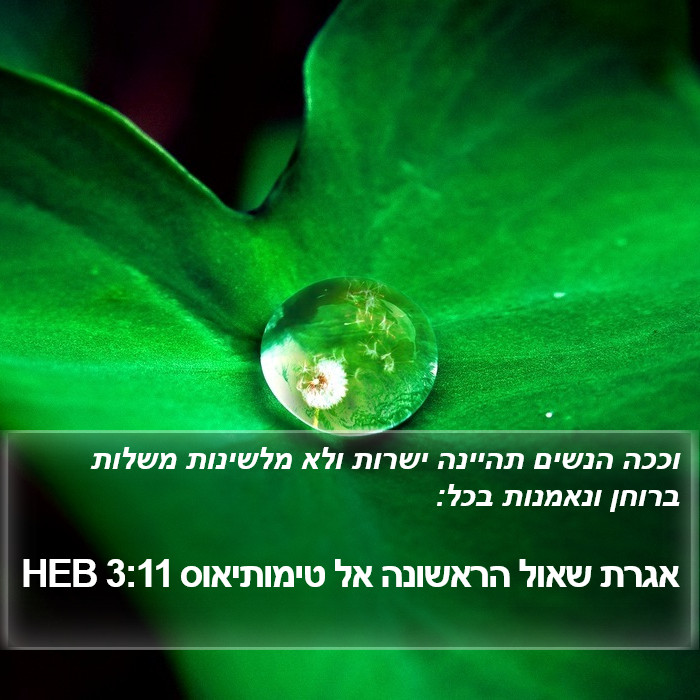 אגרת שאול הראשונה אל טימותיאוס 3:11 HEB Bible Study