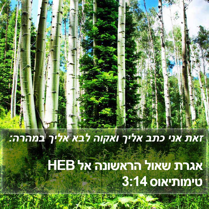 אגרת שאול הראשונה אל טימותיאוס 3:14 HEB Bible Study