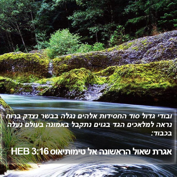 אגרת שאול הראשונה אל טימותיאוס 3:16 HEB Bible Study