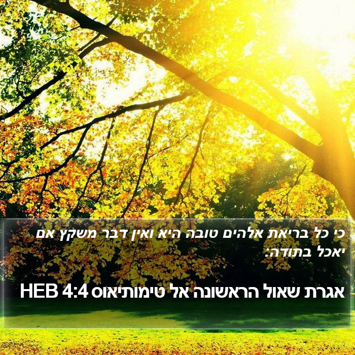 אגרת שאול הראשונה אל טימותיאוס 4:4 HEB Bible Study