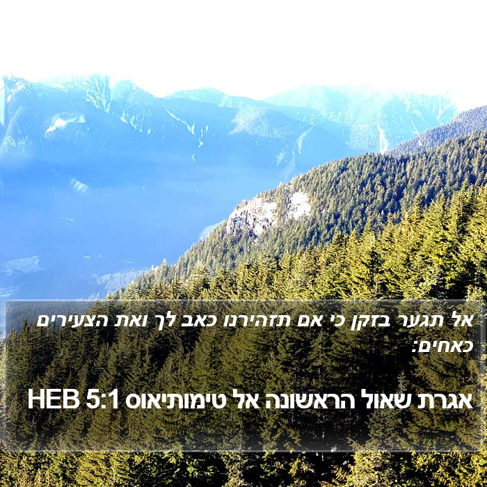 אגרת שאול הראשונה אל טימותיאוס 5:1 HEB Bible Study