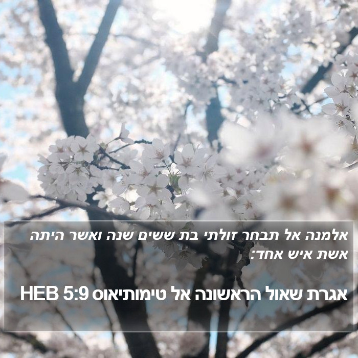 אגרת שאול הראשונה אל טימותיאוס 5:9 HEB Bible Study