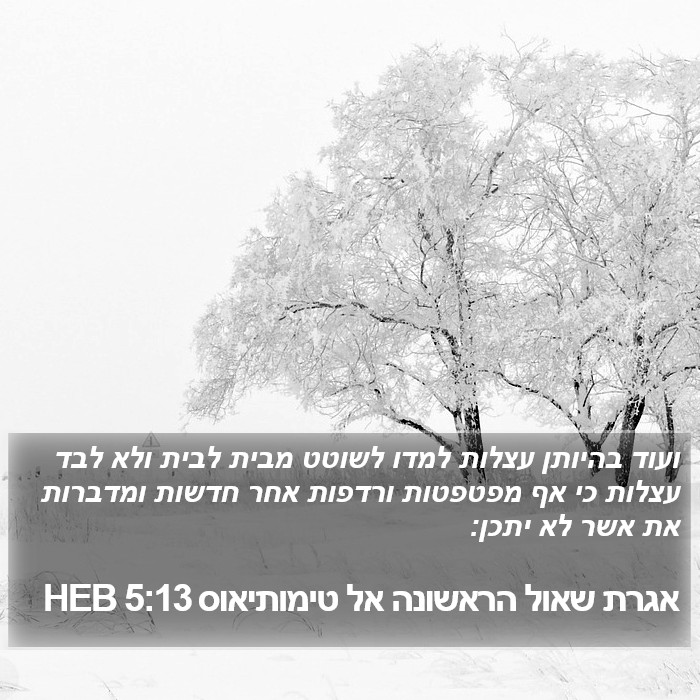 אגרת שאול הראשונה אל טימותיאוס 5:13 HEB Bible Study