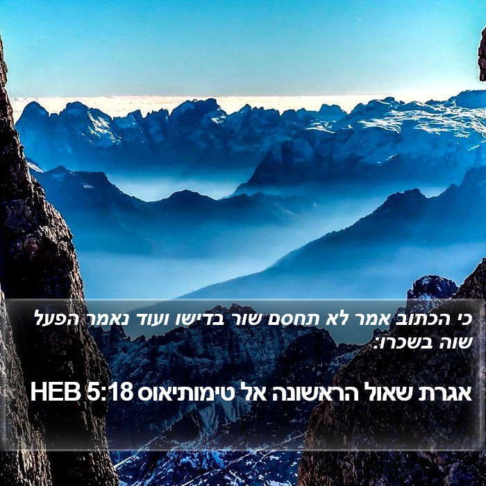 אגרת שאול הראשונה אל טימותיאוס 5:18 HEB Bible Study