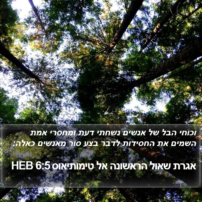 אגרת שאול הראשונה אל טימותיאוס 6:5 HEB Bible Study