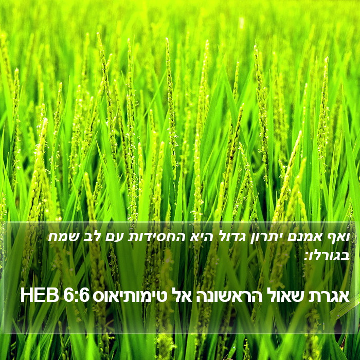 אגרת שאול הראשונה אל טימותיאוס 6:6 HEB Bible Study