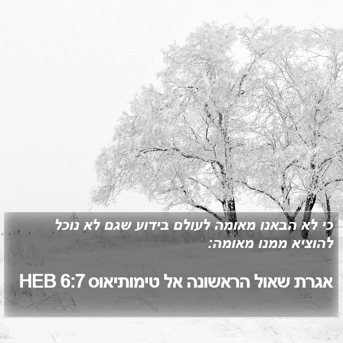 אגרת שאול הראשונה אל טימותיאוס 6:7 HEB Bible Study