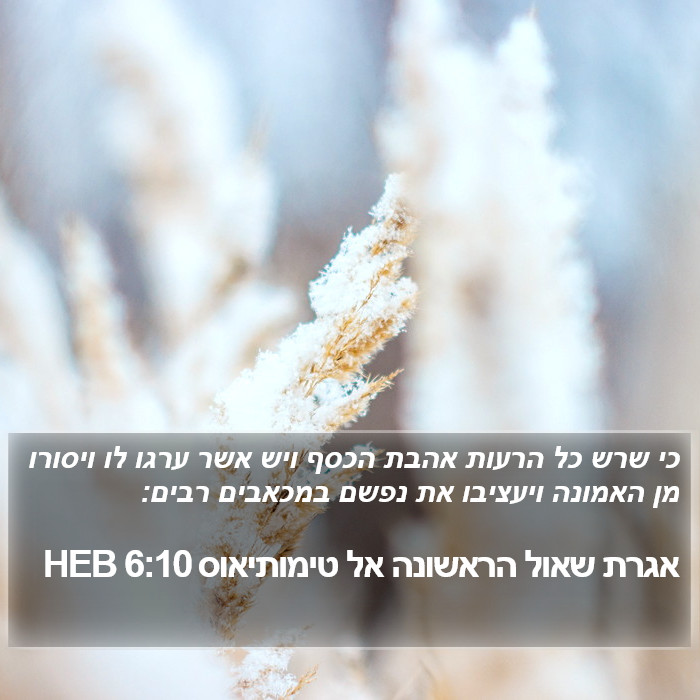 אגרת שאול הראשונה אל טימותיאוס 6:10 HEB Bible Study