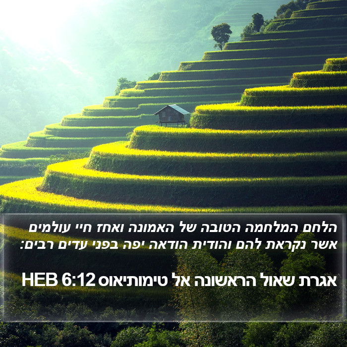 אגרת שאול הראשונה אל טימותיאוס 6:12 HEB Bible Study