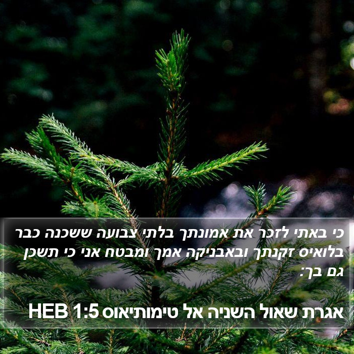 אגרת שאול השניה אל טימותיאוס 1:5 HEB Bible Study