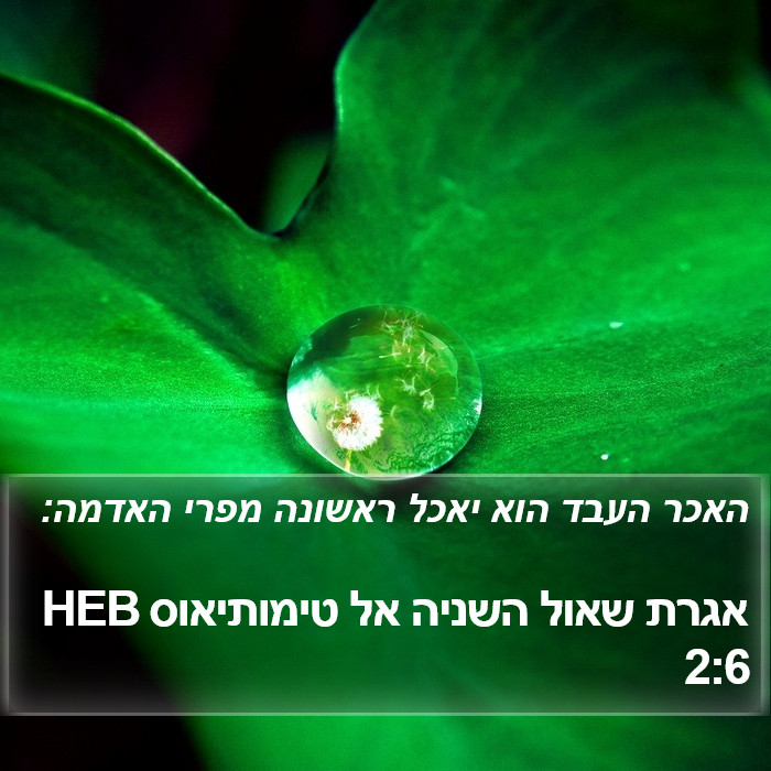 אגרת שאול השניה אל טימותיאוס 2:6 HEB Bible Study