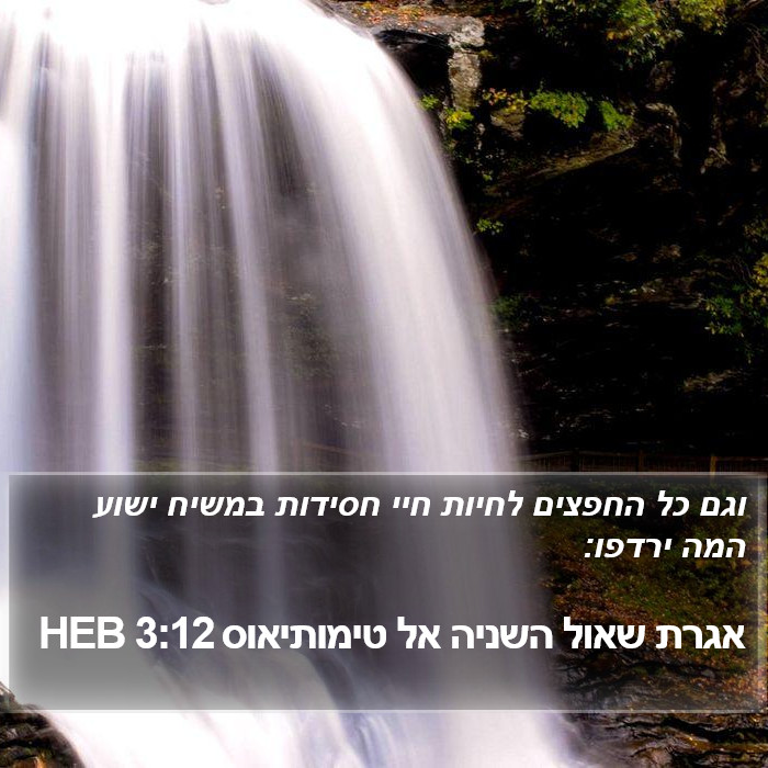 אגרת שאול השניה אל טימותיאוס 3:12 HEB Bible Study