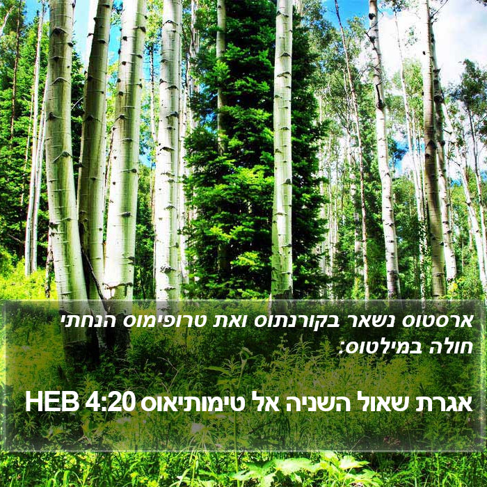 אגרת שאול השניה אל טימותיאוס 4:20 HEB Bible Study