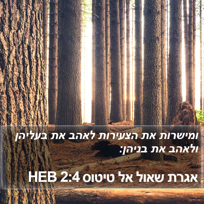 אגרת שאול אל טיטוס 2:4 HEB Bible Study