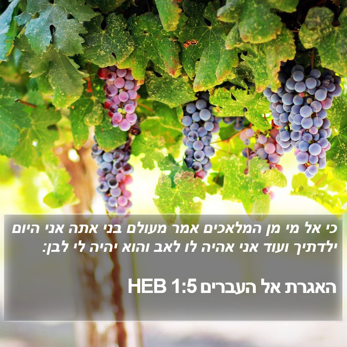 האגרת אל העברים 1:5 HEB Bible Study