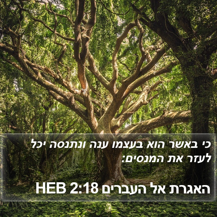 האגרת אל העברים 2:18 HEB Bible Study
