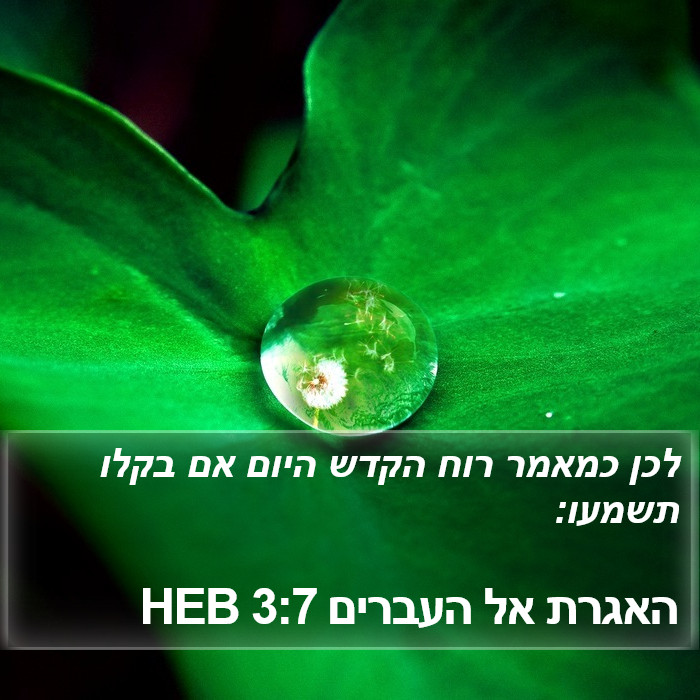 האגרת אל העברים 3:7 HEB Bible Study