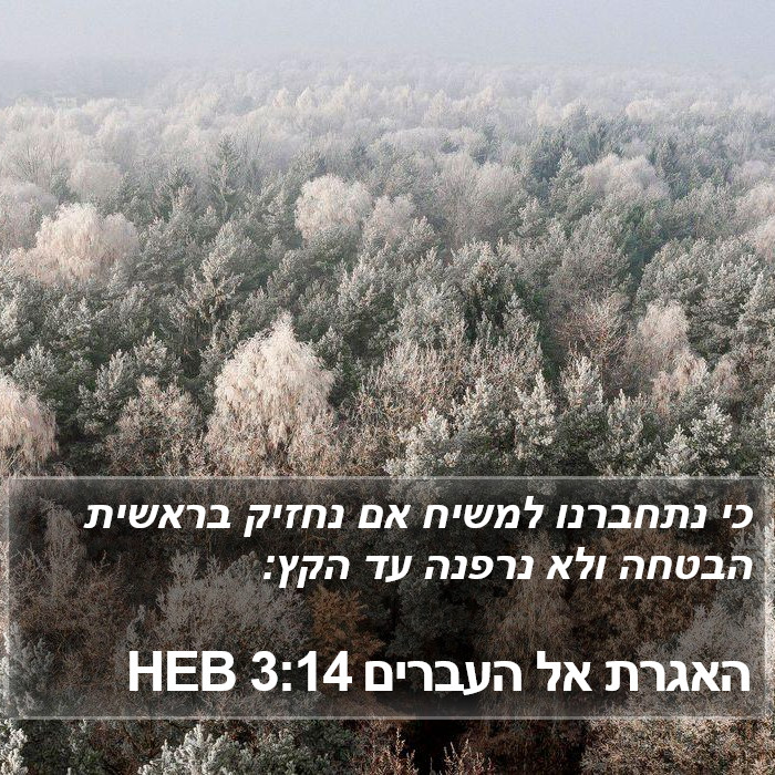 האגרת אל העברים 3:14 HEB Bible Study