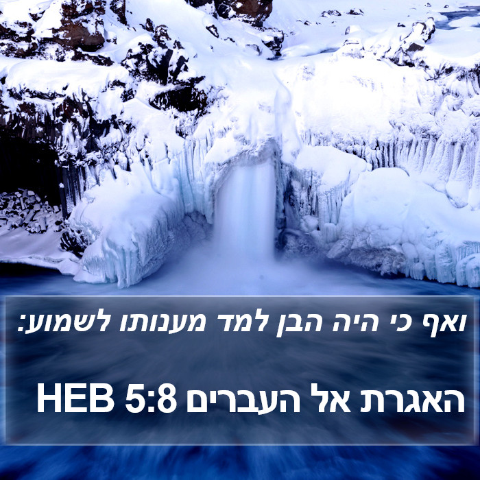 האגרת אל העברים 5:8 HEB Bible Study