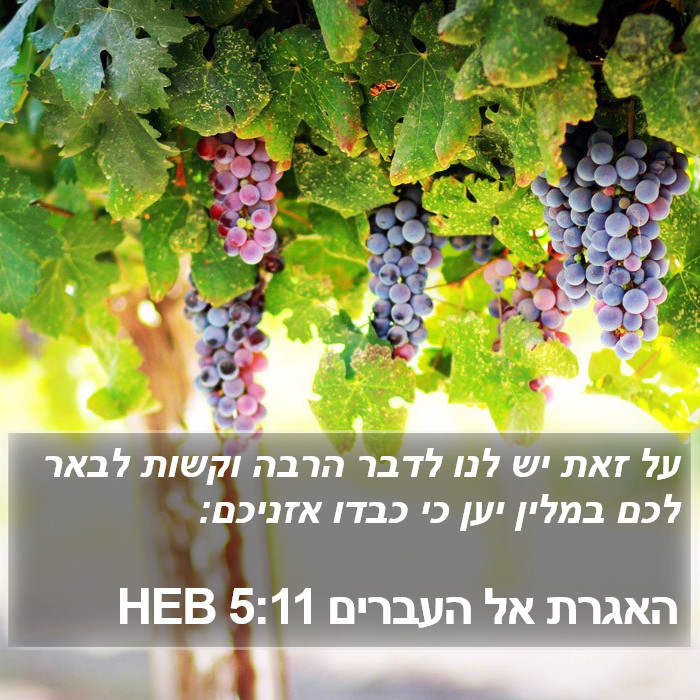האגרת אל העברים 5:11 HEB Bible Study