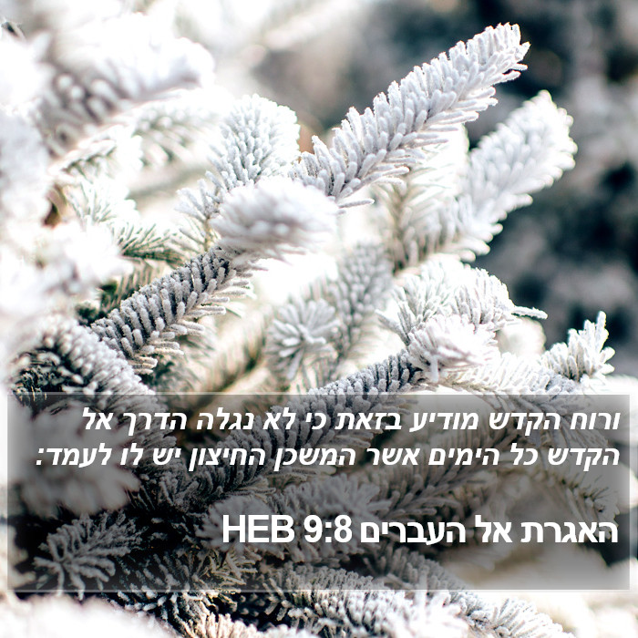 האגרת אל העברים 9:8 HEB Bible Study