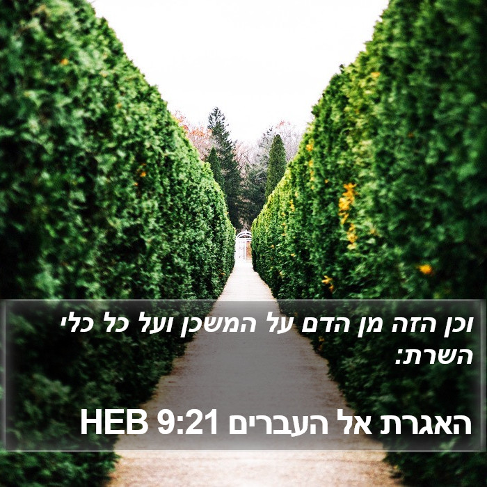 האגרת אל העברים 9:21 HEB Bible Study